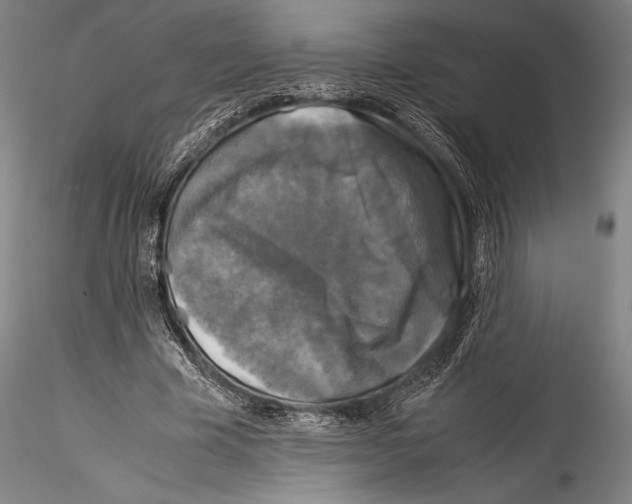 X0000115300585200911301515