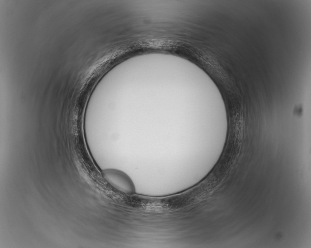 X0000115300587200911301515