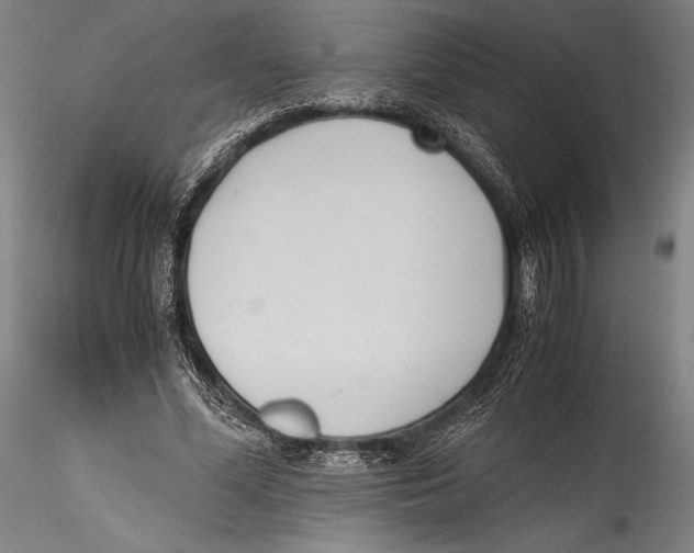 X0000115300588200911301515