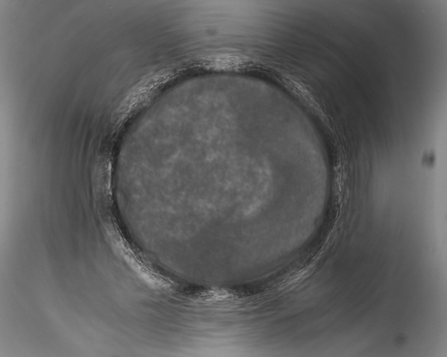 X0000115300589200911301515