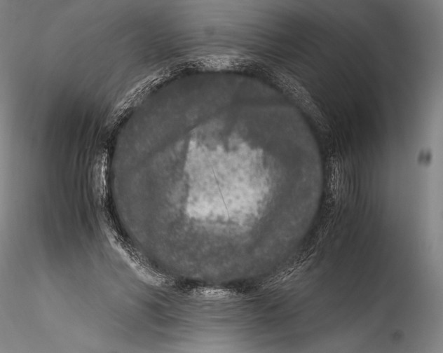 X0000115300590200911301515