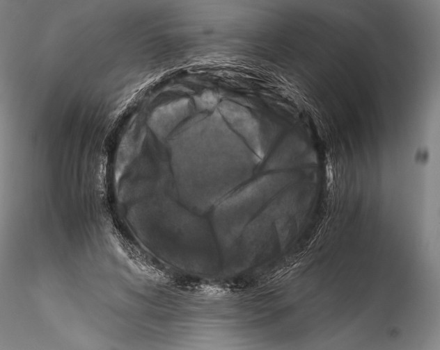 X0000115300592200911301515