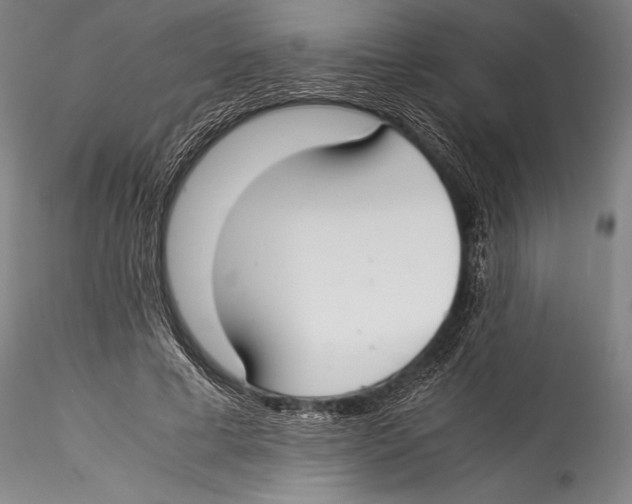 X0000115300593200911301515