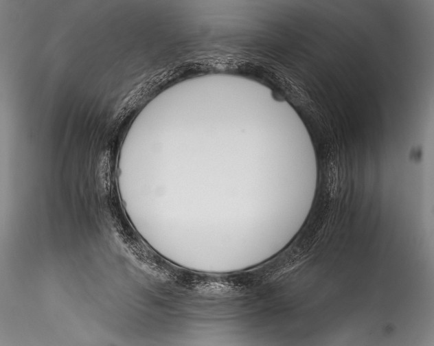 X0000115300594200911301515