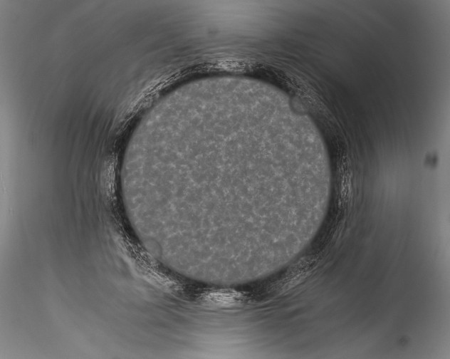 X0000115300595200911301515