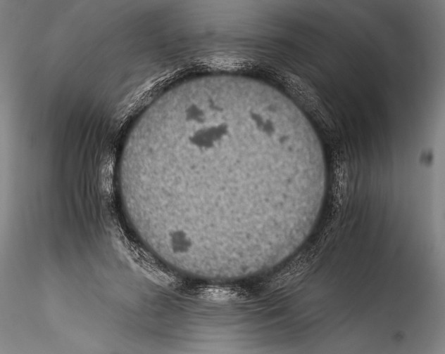 X0000115300596200911301515