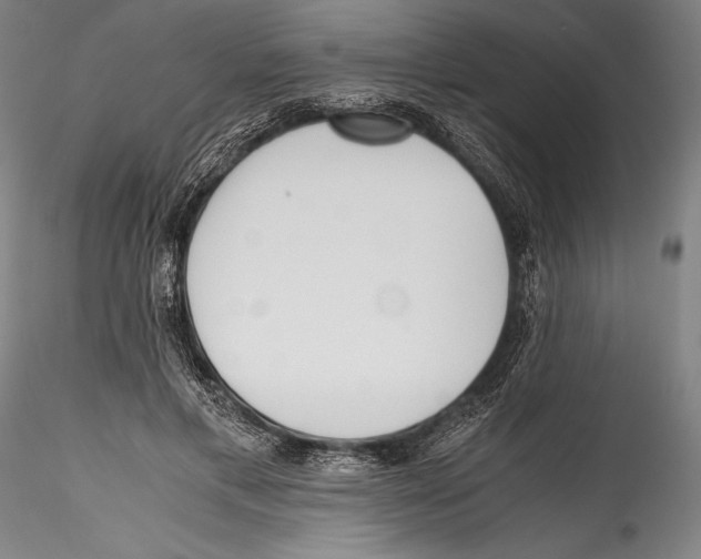 X0000115300597200911301515