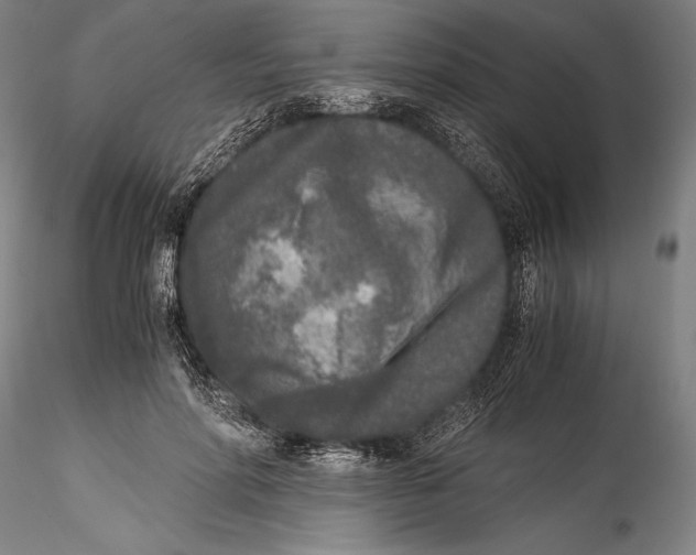 X0000115300598200911301515