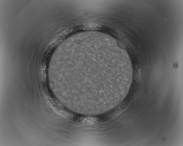 X0000115300599200911301515