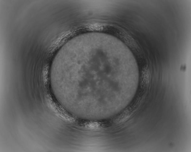 X0000115300600200911301515