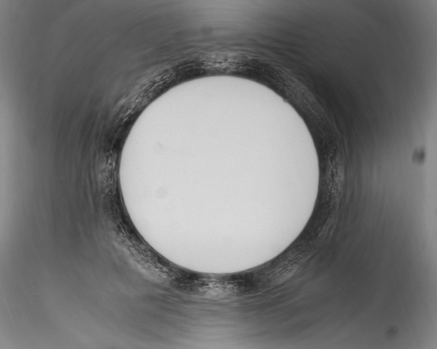 X0000115300601200911301515