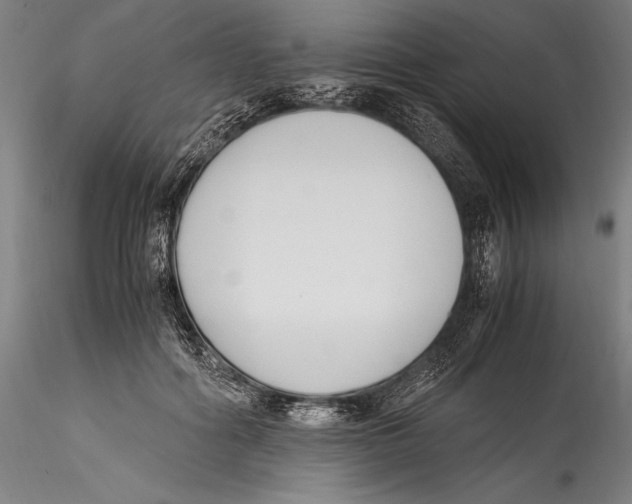 X0000115300602200911301515