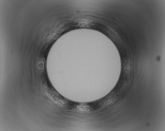 X0000115300603200911301515