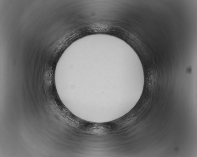 X0000115300604200911301515