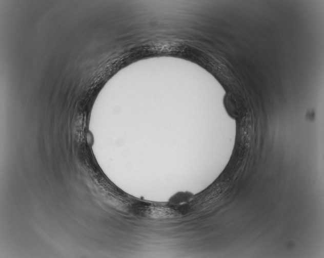 X0000115300605200911301515