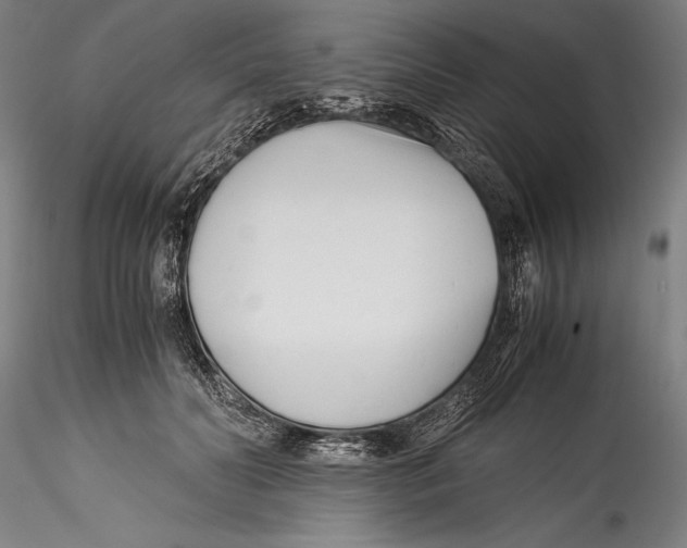 X0000115300606200911301515