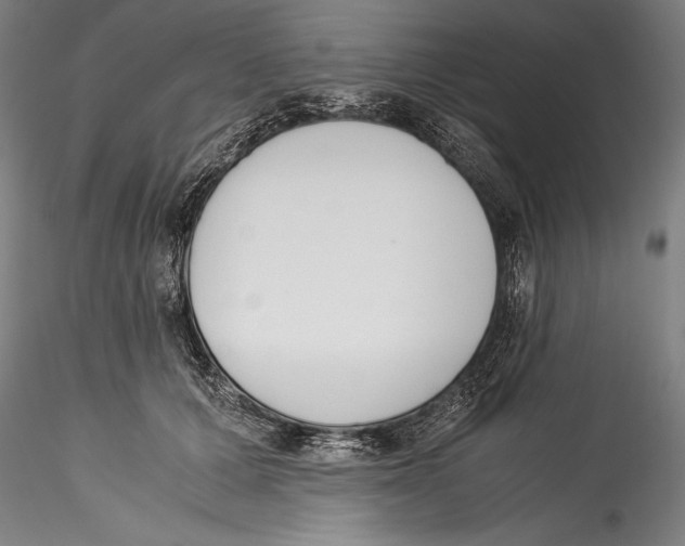 X0000115300607200911301515