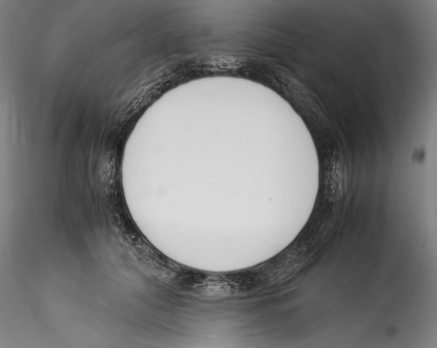 X0000115300608200911301515