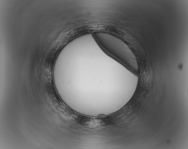 X0000115300609200911301515