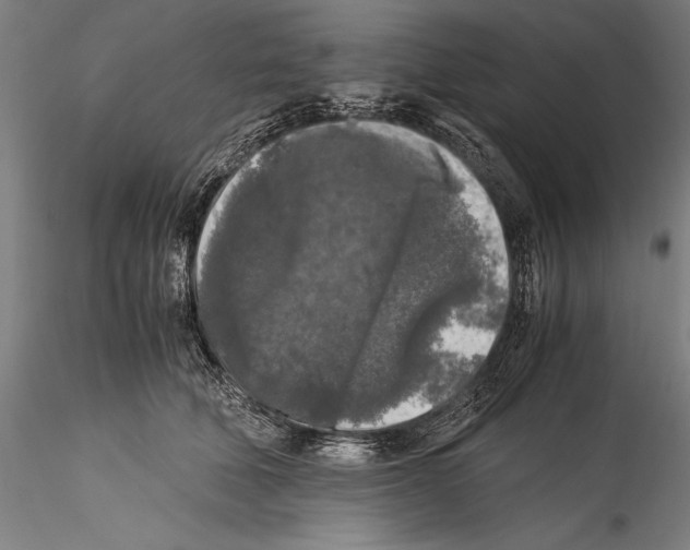 X0000115300610200911301515