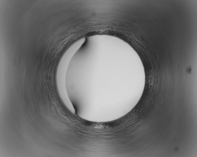 X0000115300611200911301515