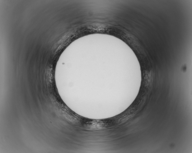 X0000115300612200911301515