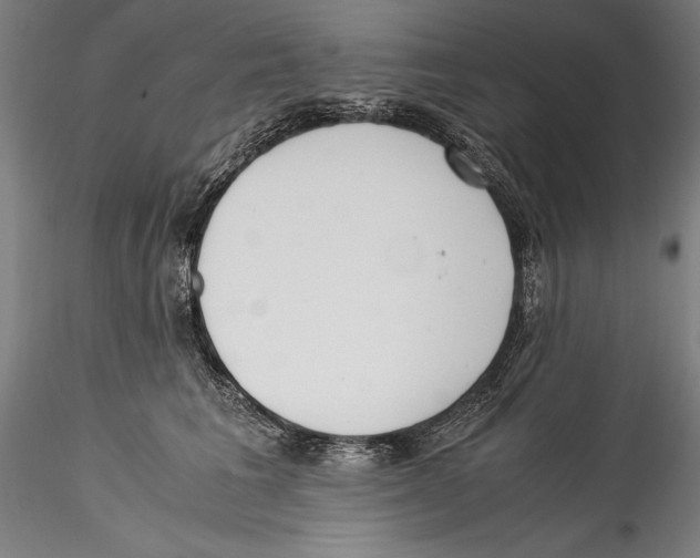 X0000115300613200911301515