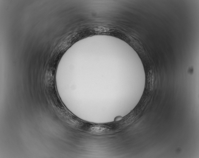 X0000115300614200911301515