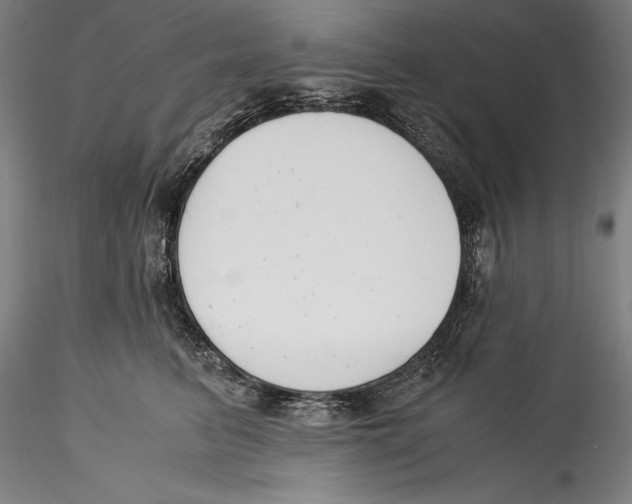 X0000115300615200911301515