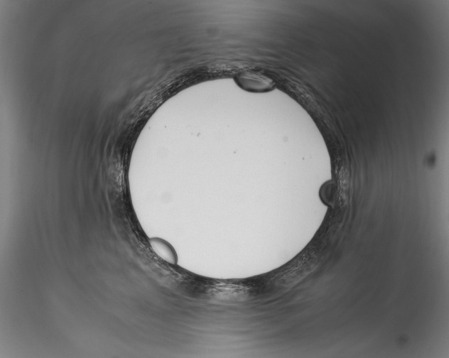 X0000115300617200911301515