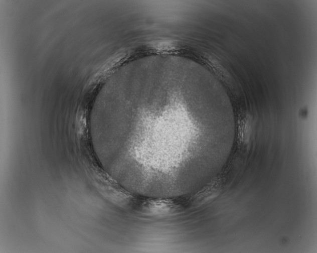 X0000115300618200911301515