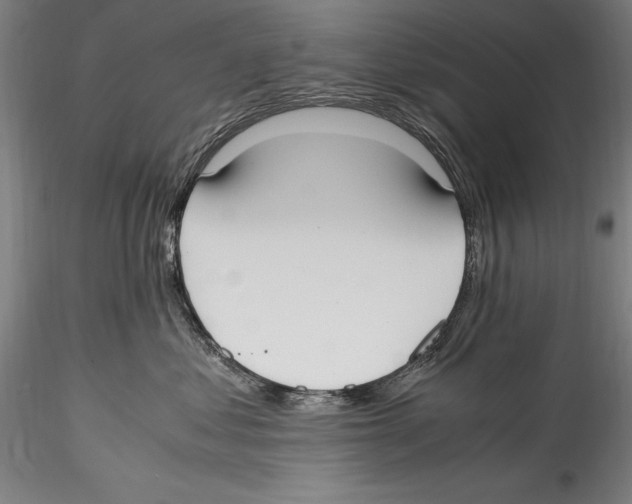 X0000115300621200911301515