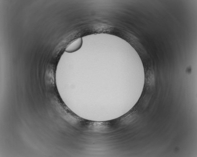 X0000115300622200911301515