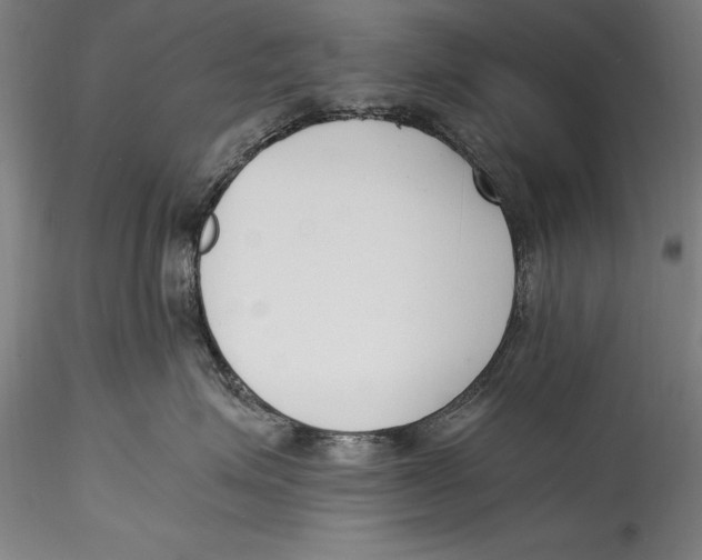 X0000115300623200911301515