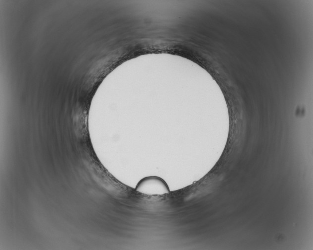 X0000115300624200911301515