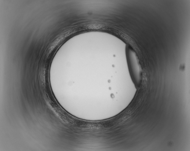 X0000115300626200911301514