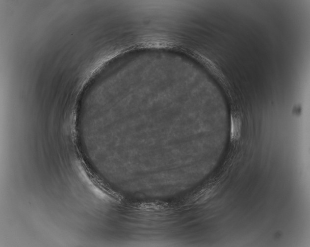 X0000115300627200911301514