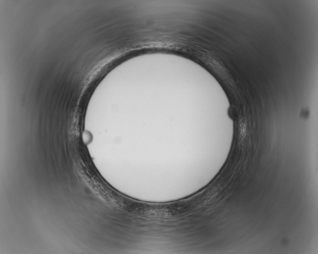 X0000115300628200911301514