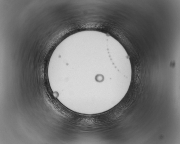 X0000115300631200911301514