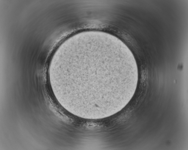 X0000115300632200911301514