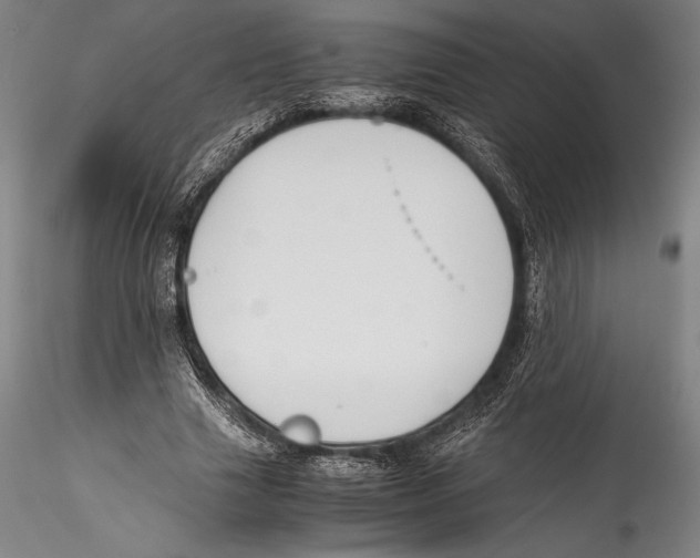 X0000115300633200911301514