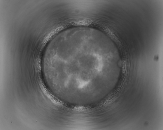 X0000115300634200911301514