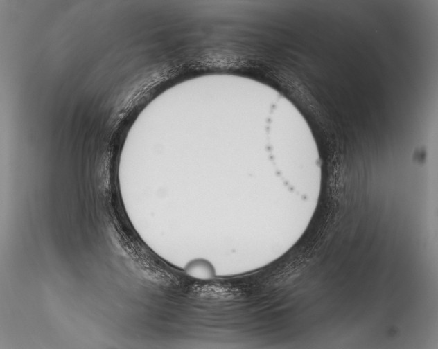 X0000115300635200911301514