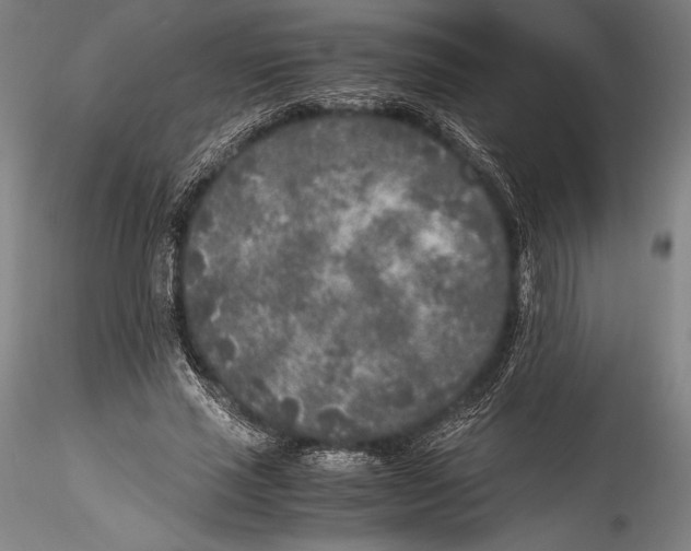 X0000115300637200911301514