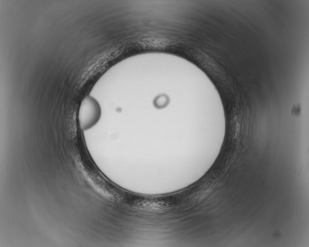 X0000115300638200911301514