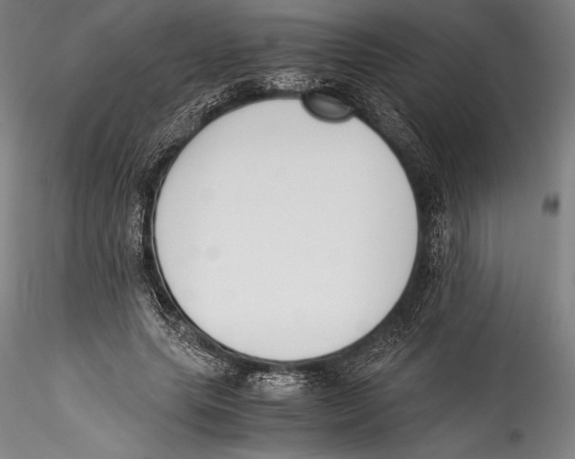 X0000115300639200911301514