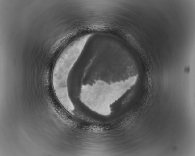 X0000115300640200911301514