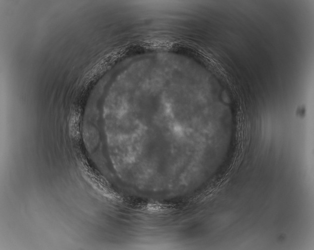 X0000115300641200911301514