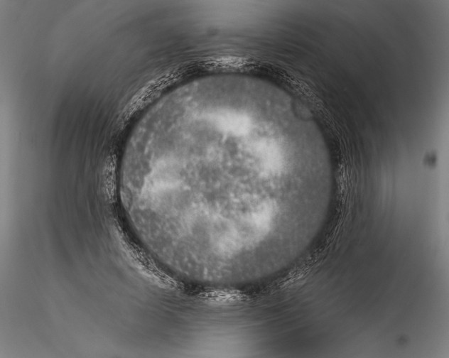 X0000115300642200911301514