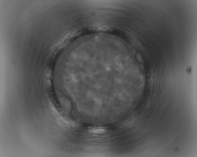 X0000115300643200911301514